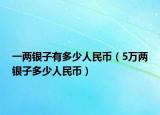 一两银子有多少人民币（5万两银子多少人民币）