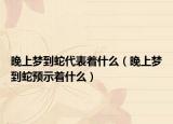 晚上梦到蛇代表着什么（晚上梦到蛇预示着什么）