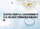 玉米芯有大用途不少人去农村收购每斤0.15元 他们用来干啥具体情况详细内容介绍