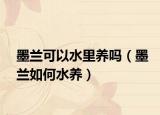 墨兰可以水里养吗（墨兰如何水养）