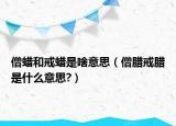 僧蜡和戒蜡是啥意思（僧腊戒腊是什么意思?）