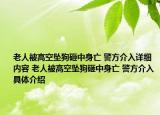 老人被高空坠狗砸中身亡 警方介入详细内容 老人被高空坠狗砸中身亡 警方介入具体介绍