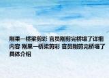 刚果一桥梁剪彩 官员刚剪完桥塌了详细内容 刚果一桥梁剪彩 官员刚剪完桥塌了具体介绍