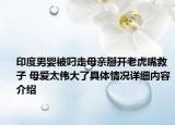 印度男婴被叼走母亲掰开老虎嘴救子 母爱太伟大了具体情况详细内容介绍