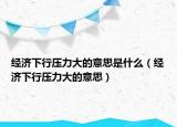经济下行压力大的意思是什么（经济下行压力大的意思）