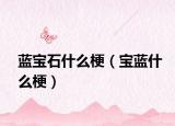 蓝宝石什么梗（宝蓝什么梗）