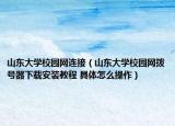 山东大学校园网连接（山东大学校园网拨号器下载安装教程 具体怎么操作）