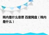 贱内是什么意思 百度网盘（贱内是什么）