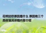花呗封停原因是什么 原因有三个具体情况详细内容介绍