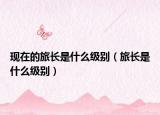 现在的旅长是什么级别（旅长是什么级别）
