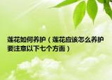 莲花如何养护（莲花应该怎么养护要注意以下七个方面）