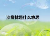 沙柳林是什么意思