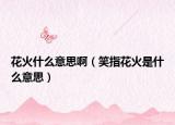 花火什么意思啊（笑指花火是什么意思）