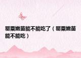 罂粟嫩苗能不能吃了（罂粟嫩苗能不能吃）