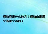 桐柏县是什么地方（桐柏山是哪个省哪个市的）