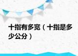 十指有多宽（十指是多少公分）