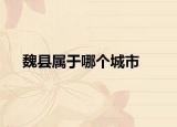 魏县属于哪个城市