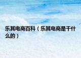 乐其电商百科（乐其电商是干什么的）