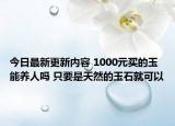 今日最新更新内容 1000元买的玉能养人吗 只要是天然的玉石就可以