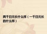 两千日元长什么样（一千日元长的什么样）