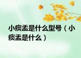 小痰盂是什么型号（小痰盂是什么）