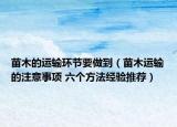 苗木的运输环节要做到（苗木运输的注意事项 六个方法经验推荐）