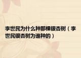 李世民为什么种那棵银杏树（李世民银杏树为谁种的）
