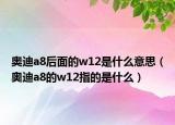 奥迪a8后面的w12是什么意思（奥迪a8的w12指的是什么）