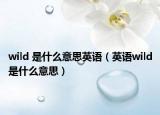 wild 是什么意思英语（英语wild是什么意思）