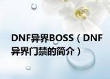DNF异界BOSS（DNF异界门禁的简介）