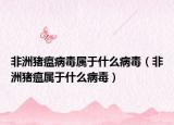非洲猪瘟病毒属于什么病毒（非洲猪瘟属于什么病毒）