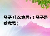 马子 什么意思?（马子是啥意思）