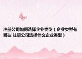 注册公司如何选择企业类型（企业类型有哪些 注册公司选择什么企业类型）