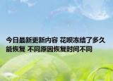 今日最新更新内容 花呗冻结了多久能恢复 不同原因恢复时间不同