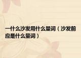一什么沙发用什么量词（沙发前应是什么量词）