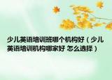 少儿英语培训班哪个机构好（少儿英语培训机构哪家好 怎么选择）