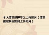 个人信息维护怎么上传照片（信息管理系统如何上传照片）