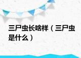 三尸虫长啥样（三尸虫是什么）