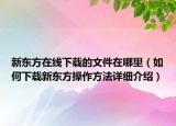 新东方在线下载的文件在哪里（如何下载新东方操作方法详细介绍）