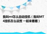 我叫mt怎么自动挂机（我叫MT4挂机怎么设置 一起来看看）