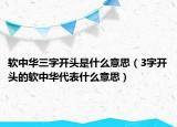 软中华三字开头是什么意思（3字开头的软中华代表什么意思）