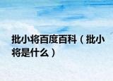 批小将百度百科（批小将是什么）