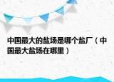 中国最大的盐场是哪个盐厂（中国最大盐场在哪里）