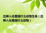 出神入化是指什么动物生肖（出神入化是指什么动物）