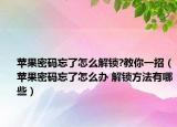 苹果密码忘了怎么解锁?教你一招（苹果密码忘了怎么办 解锁方法有哪些）