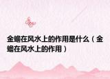 金蟾在风水上的作用是什么（金蟾在风水上的作用）