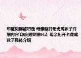 印度男婴被叼走 母亲掰开老虎嘴救子详细内容 印度男婴被叼走 母亲掰开老虎嘴救子具体介绍