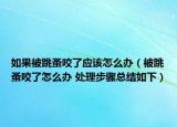 如果被跳蚤咬了应该怎么办（被跳蚤咬了怎么办 处理步骤总结如下）