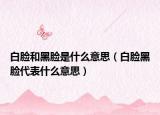 白脸和黑脸是什么意思（白脸黑脸代表什么意思）