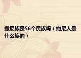 撒尼族是56个民族吗（撒尼人是什么族的）